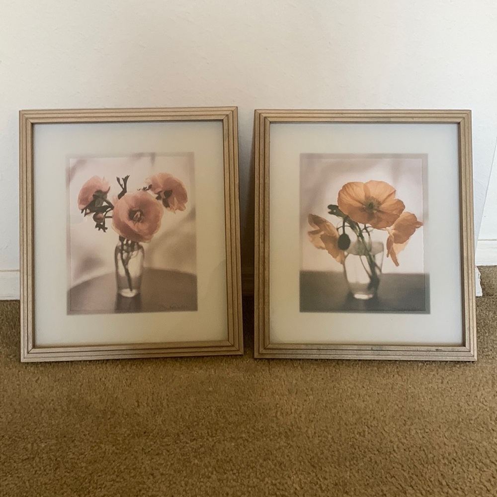 Wall Art Set of Two Pictures